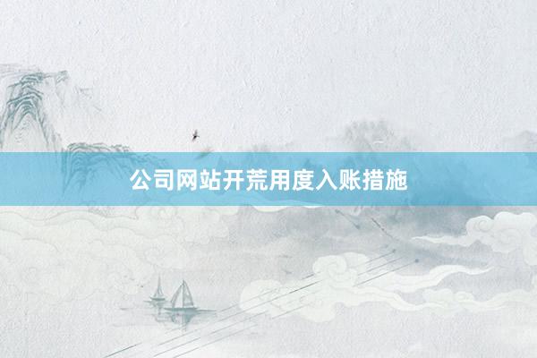 公司网站开荒用度入账措施