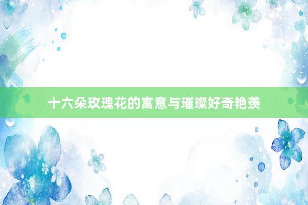 十六朵玫瑰花的寓意与璀璨好奇艳羡